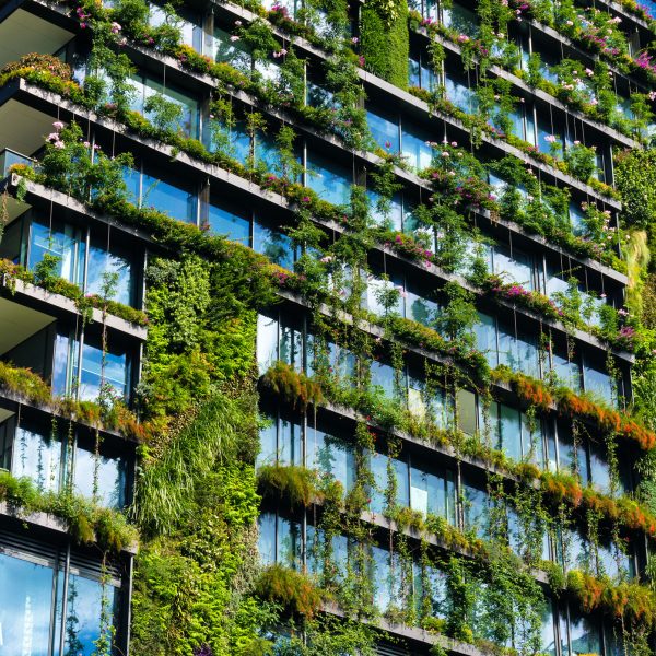 5 Steps to Sustainable Construction Success